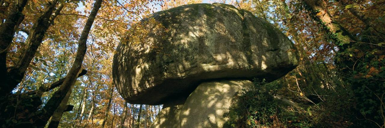 Chambre D'Hotes De La Roche Tremblante Huelgoat Dış mekan fotoğraf